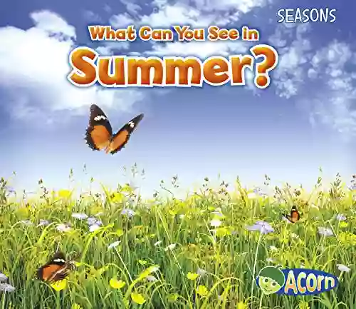 What Can You See in Summer? (Seasons)