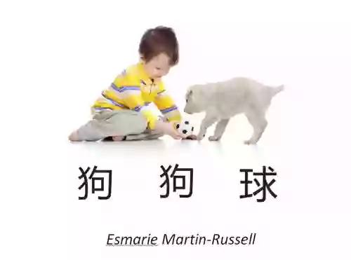 Dog Dog Ball (Chinese) (Two Simple Words 1)