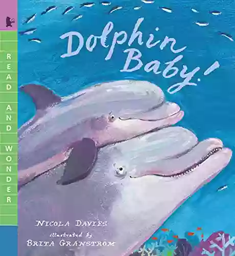 Dolphin Baby (Read And Wonder)