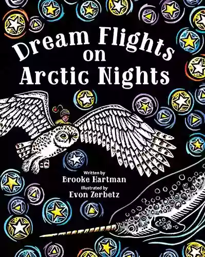 Dream Flights On Arctic Nights