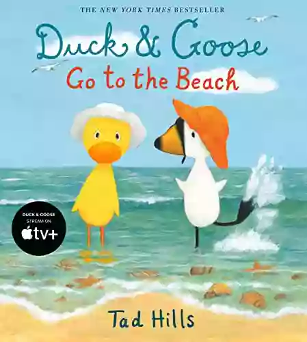 Duck Goose Go To The Beach