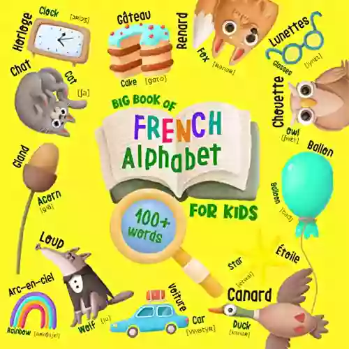 Big Of French Alphabet For Kids: English French For Kids 100+ Words With Illustrations Translation And Pronunciation