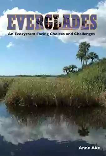 Everglades: An Ecosystem Facing Choices And Challenges