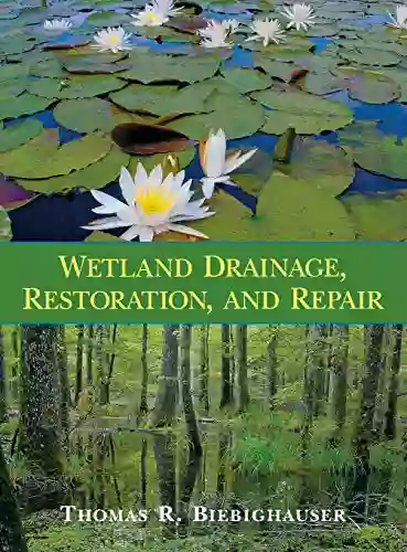 Wetland Drainage Restoration And Repair