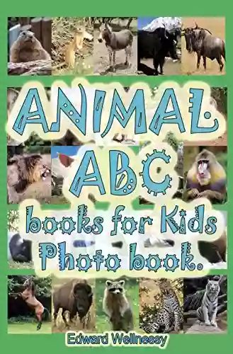 Animal ABC For Kids Photo Book: Photo For Kids Consists Of Animals Photos