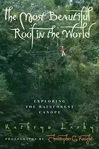 The Most Beautiful Roof In The World: Exploring The Rainforest Canopy