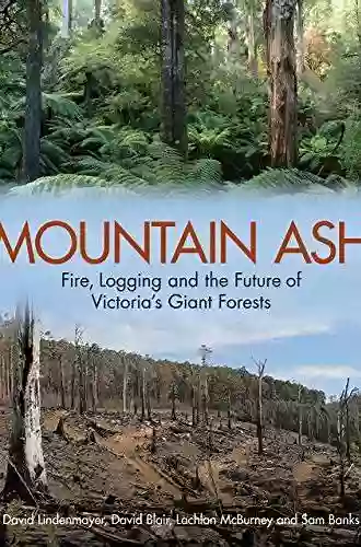 Mountain Ash: Fire Logging And The Future Of Victoria S Giant Forests