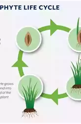 Seed Endophytes: Biology And Biotechnology