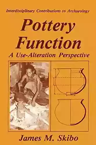 Pottery Function: A Use Alteration Perspective (Interdisciplinary Contributions To Archaeology)