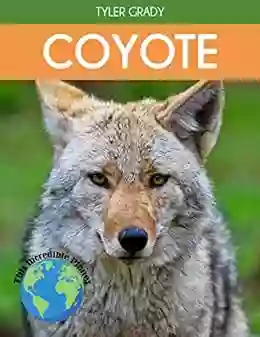 Coyote: Fascinating Animal Facts For Kids (This Incredible Planet)