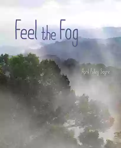 Feel The Fog (Weather Walks)