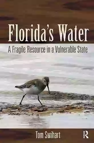 Florida S Water: A Fragile Resource In A Vulnerable State