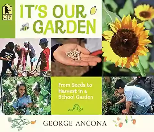 It S Our Garden: From Seeds To Harvest In A School Garden