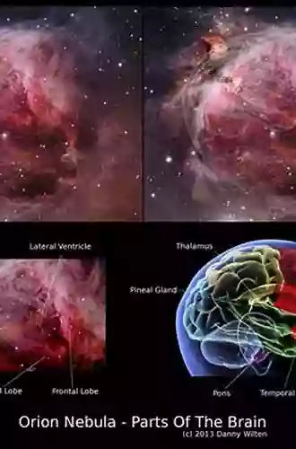 A Compendium Of Geochemistry: From Solar Nebula To The Human Brain