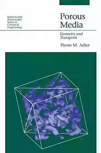 Porous Media: Geometry And Transports (Butterworth Heinemann In Chemical Engineering)