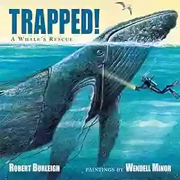 Trapped A Whale S Rescue Wendell Minor