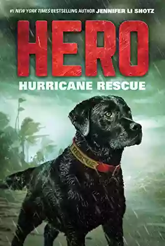 Hero: Hurricane Rescue CADArtifex