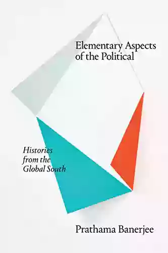 Elementary Aspects Of The Political: Histories From The Global South (Theory In Forms)