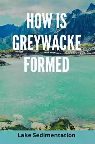 How Is Greywacke Formed: Lake Sedimentation