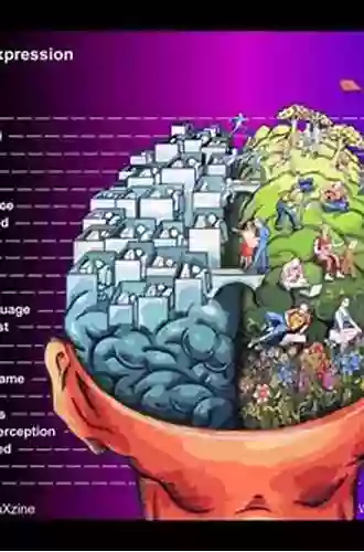 A Tour of the Senses: How Your Brain Interprets the World