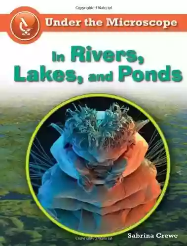 In Rivers Lakes And Ponds (Under The Microscope)