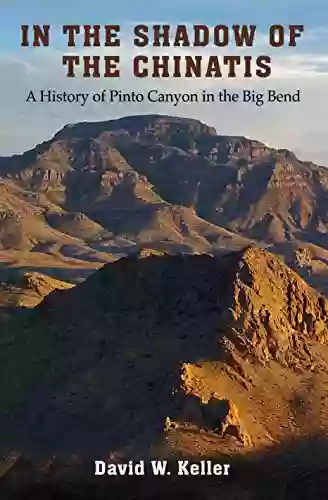 In the Shadow of the Chinatis: A History of Pinto Canyon in the Big Bend (The Texas Experience made possible by Sarah 84 and Mark 77 Philpy)