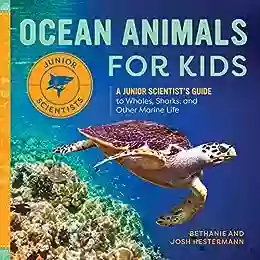 Ocean Animals For Kids: A Junior Scientist S Guide To Whales Sharks And Other Marine Life (Junior Scientists)