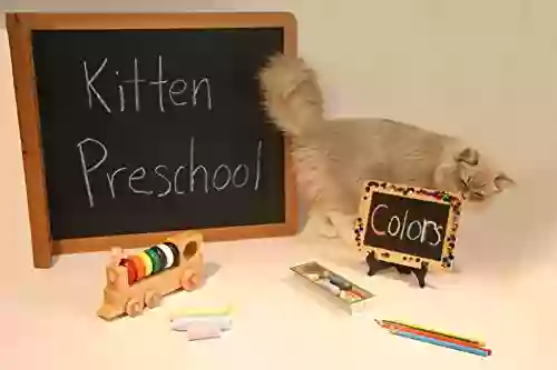 Kitten Preschool Colors Amy Iorio