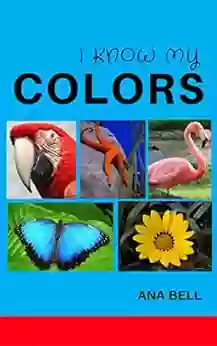 For Kids: I Know My Colors Kids Learn The Colors With Simple Bright Pictures (toddler Children S Kindergarten Preschool Books)