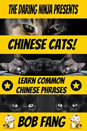 Chinese Cats : Learn Common Chinese Phrases With Beautiful Chinese Cats