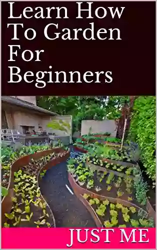 Learn How To Garden For Beginners