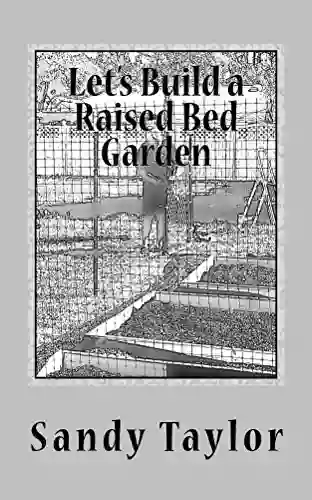 Let S Build A Raised Bed Garden (Common Sense 2)