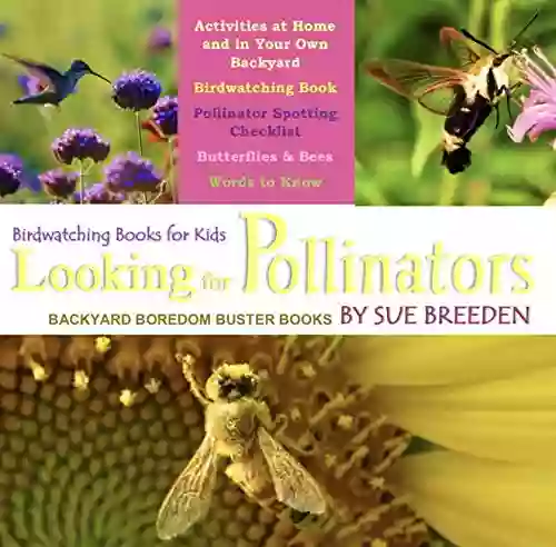 Birdwatching for Kids: Looking for Pollinators (Children s Bug for Toddlers)