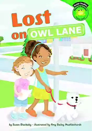 Lost On Owl Lane (Read It Readers: Social Studies)