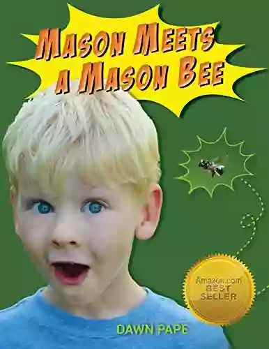 Mason Meets A Mason Bee: A Life Changing Encounter With A Pollinator