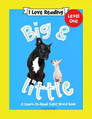 Big And Little: A Learn To Read Sight Word