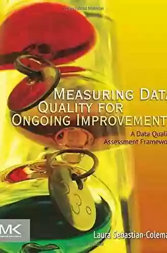 Measuring Data Quality For Ongoing Improvement: A Data Quality Assessment Framework (The Morgan Kaufmann On Business Intelligence)