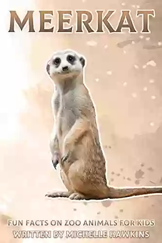 Meerkat: Fun Facts On Zoo Animals For Kids #5