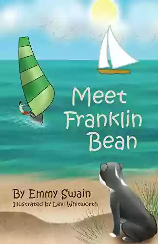 Meet Franklin Bean (Franklin Bean Superhero 1)