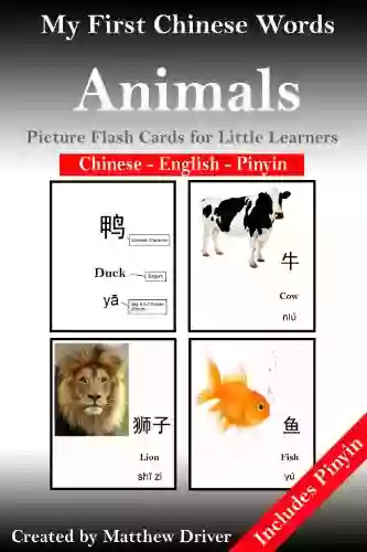 My First Words Of Chinese Animal Flash Cards