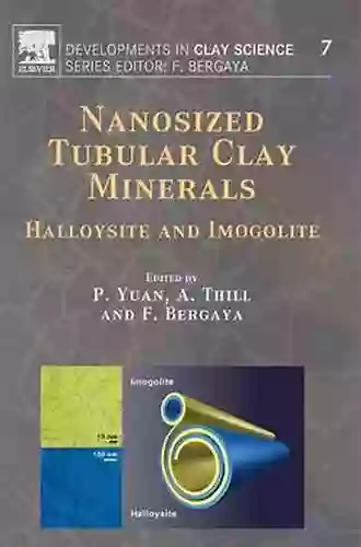 Nanosized Tubular Clay Minerals: Halloysite and Imogolite (ISSN 7)