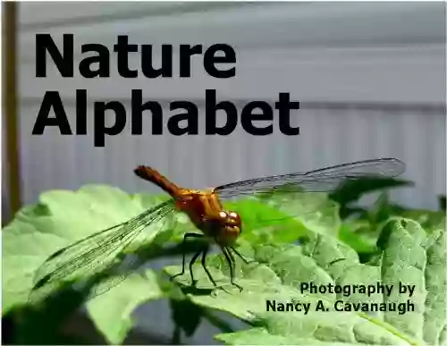 Nature Alphabet Madeleine Dunphy