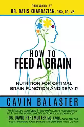 How To Feed A Brain: Nutrition For Optimal Brain Function And Repair