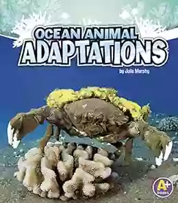 Ocean Animal Adaptations (Amazing Animal Adaptations)