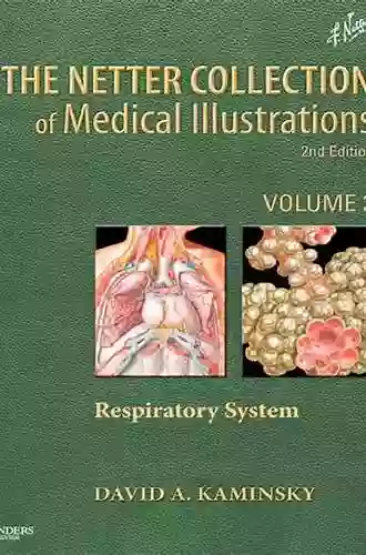 The Netter Collection Of Medical Illustrations: Nervous System Volume 7 Part II Spinal Cord And Peripheral Motor And Sensory Systems: Part II Neurologic Disorders (Netter Green Collection)