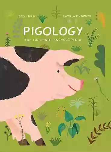 Pigology: The Ultimate Encyclopedia Daisy Bird