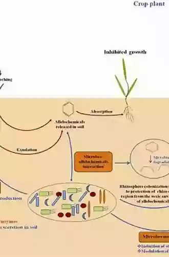 Plant Plant Allelopathic Interactions II: Laboratory Bioassays For Water Soluble Compounds With An Emphasis On Phenolic Acids