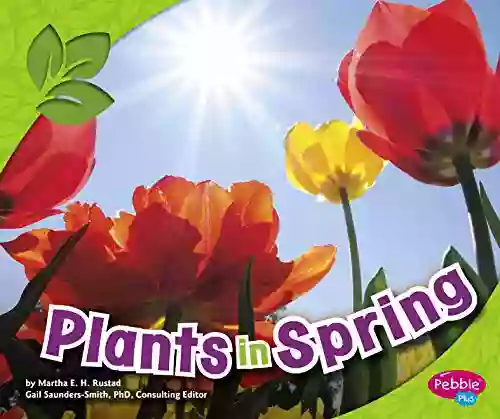 Plants In Spring (All About Spring)