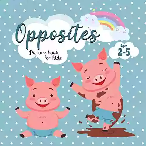 Opposites Picture For Kids Ages 2 5 : Preschool Learning For Kindergarten Toddlers