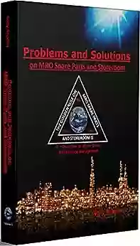 Problems and Solutions on MRO Spare Parts and Storeroom: 6th Discipline on World Class Maintenance Management The 12 Disciplines